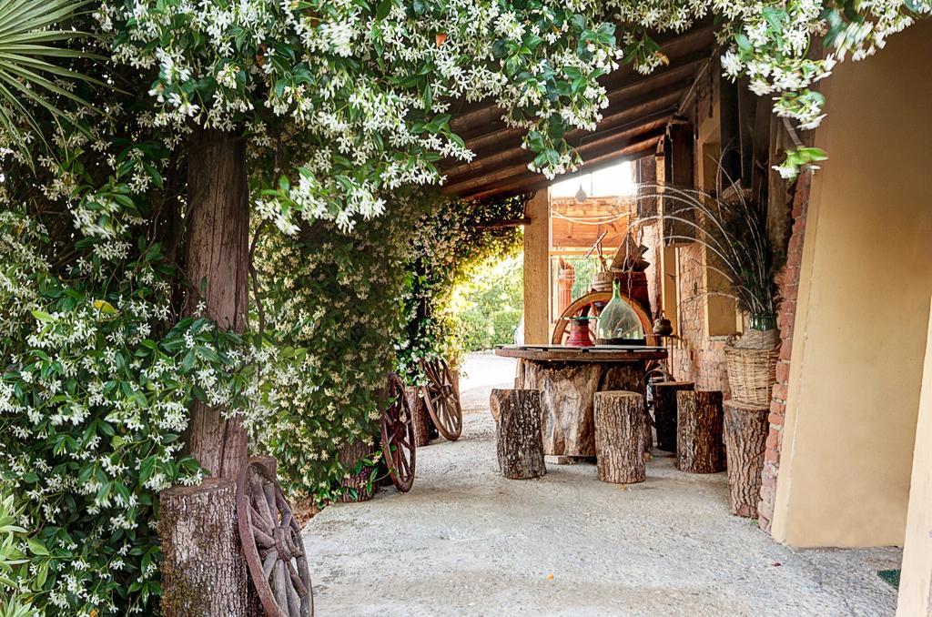 Appartamenti Alcantara E Damasco Abbadia di Montepulciano Kamer foto